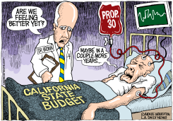 LOCAL-CA PROP 30 NOT ENOUGH by Monte Wolverton
