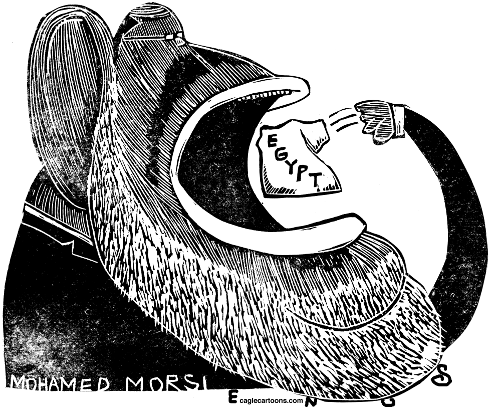  MOHAMED MORSI by Randall Enos