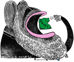MOHAMED MORSI by Randall Enos