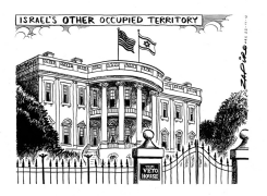 OCCUPIED TERRITORY by Zapiro