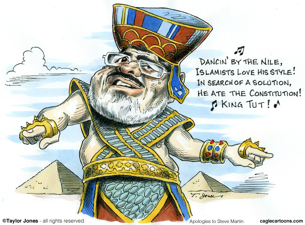 Mohamed Morsi - COLOR Reposted