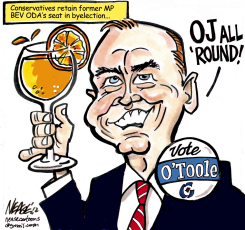 BYELECTION by Steve Nease