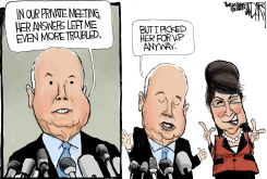 MCCAINS VP by Jeff Darcy