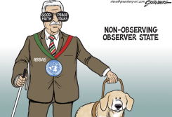 NON-OBSERVER by Steve Greenberg