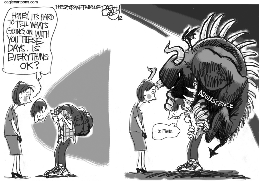 Teen Burden
