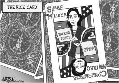 THE RICE CARD by R.J. Matson