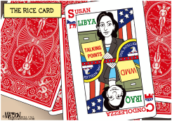 THE RICE CARD by R.J. Matson