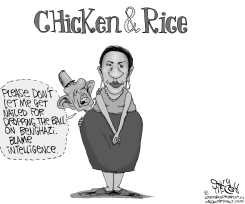 OBAMA  SUSAN RICE by Gary McCoy