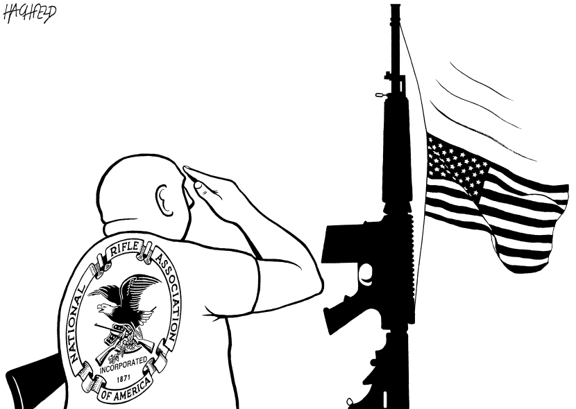 NRA after Newtown