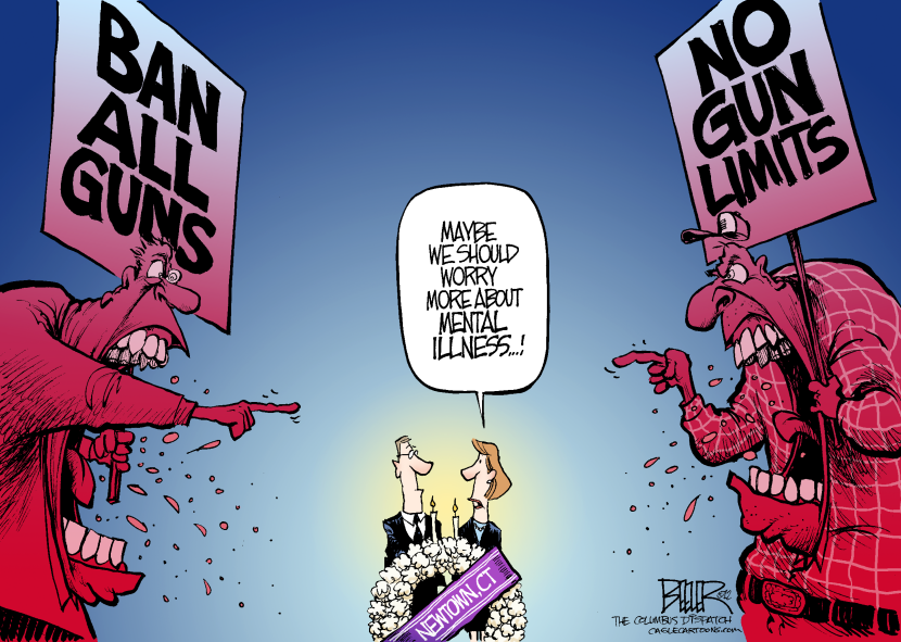 Gun Debate Polarizes After Newtown Shooting