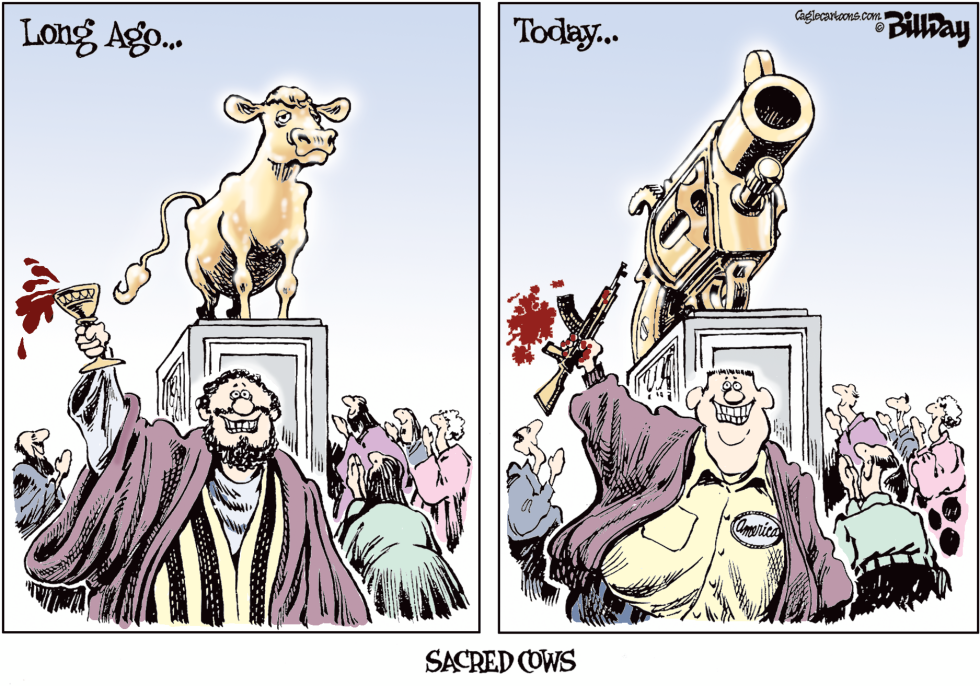 Sacred Cows COLOR