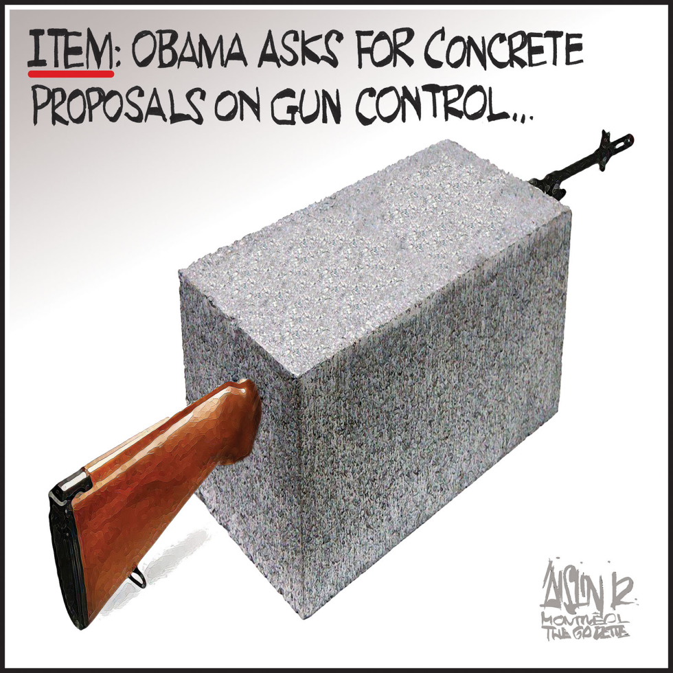 Concrete gun control proposals