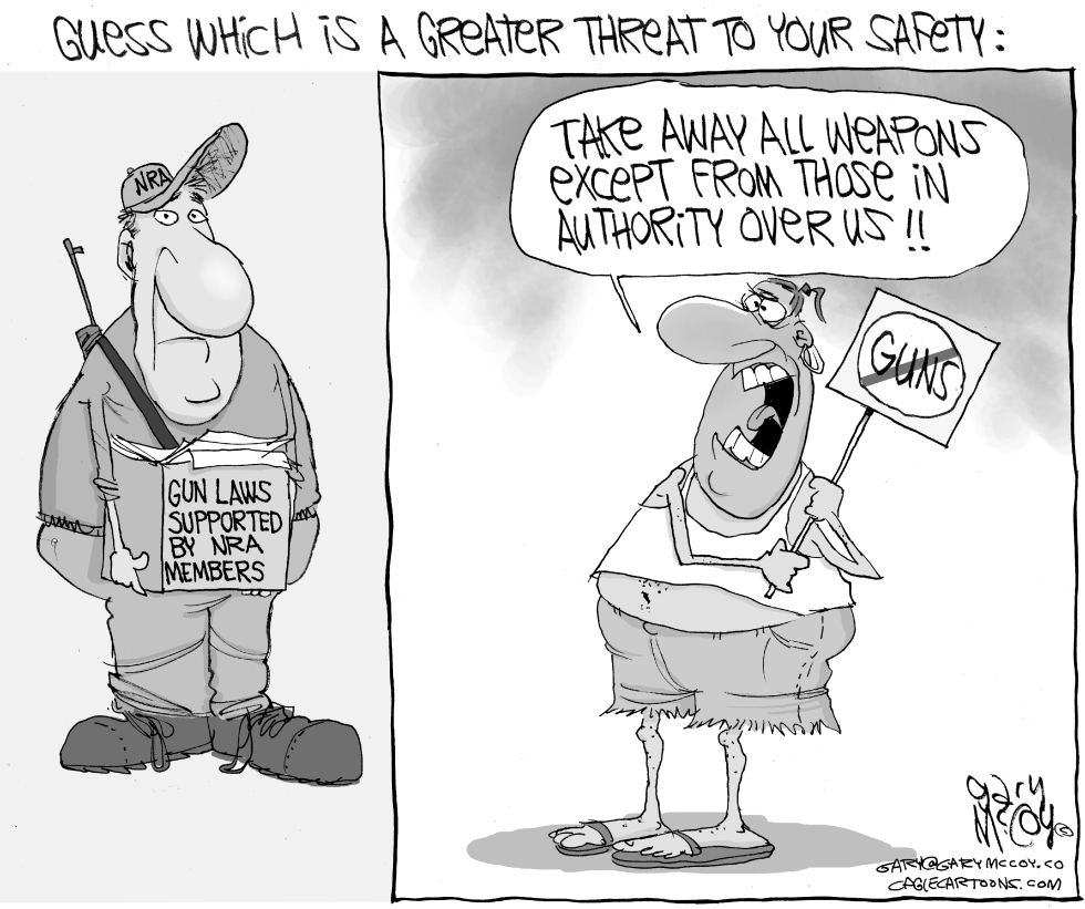Anti-Gun Zealots