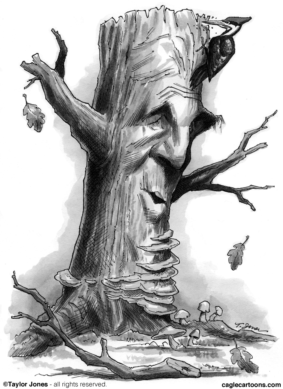 John Kerry tapped for State Dept