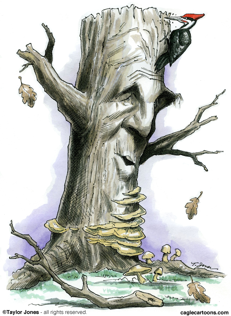 John Kerry tapped for State Dept - COLOR