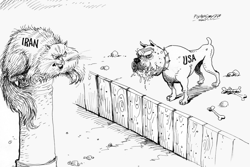 dog and cat