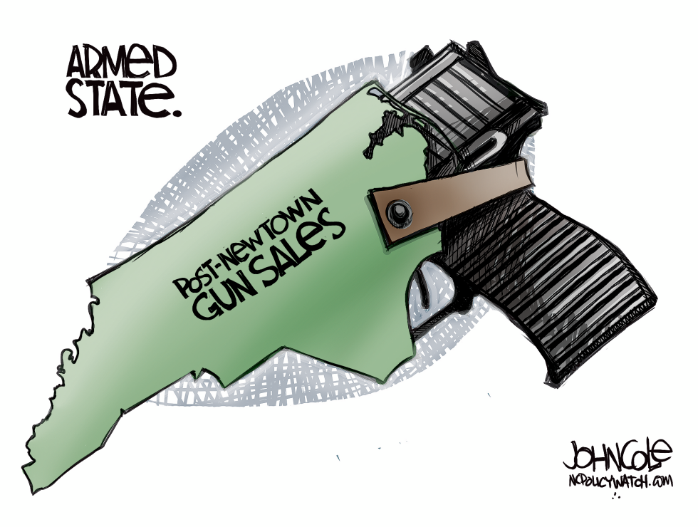 LOCAL NC -- NC GUN SALES color