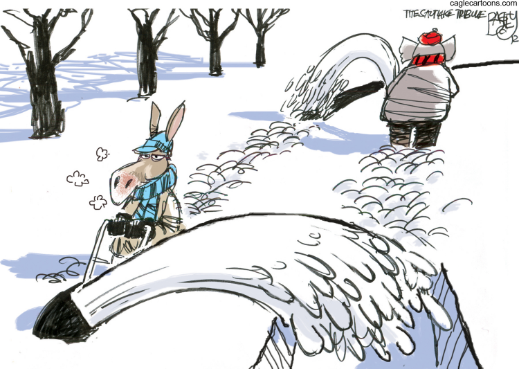 snowblower cartoon