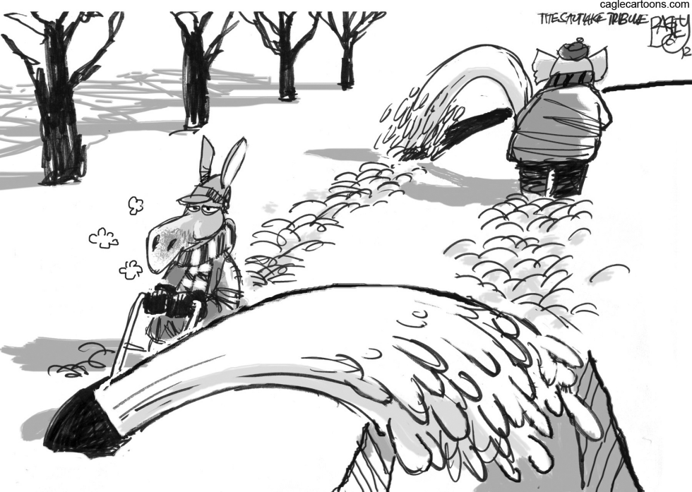 Snow Job