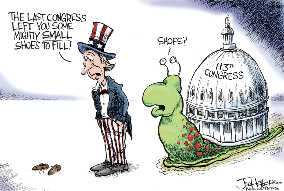 The New Congress