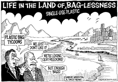LOCAL-CA ONE-USE PLASTIC BAG BAN by Monte Wolverton