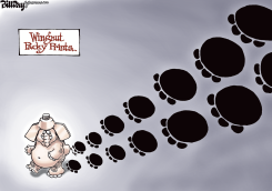 WINGNUT PACKY PRINTS  by Bill Day