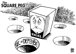 SQUARE PEG HAGEL, B/W by Randy Bish
