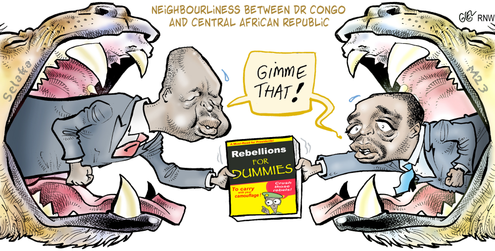 Rebellions for Dummies