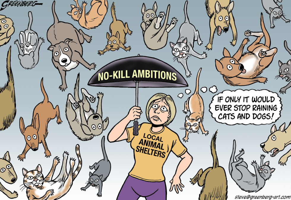 No-kill shelters