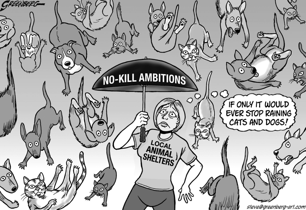 No-kill shelters bw