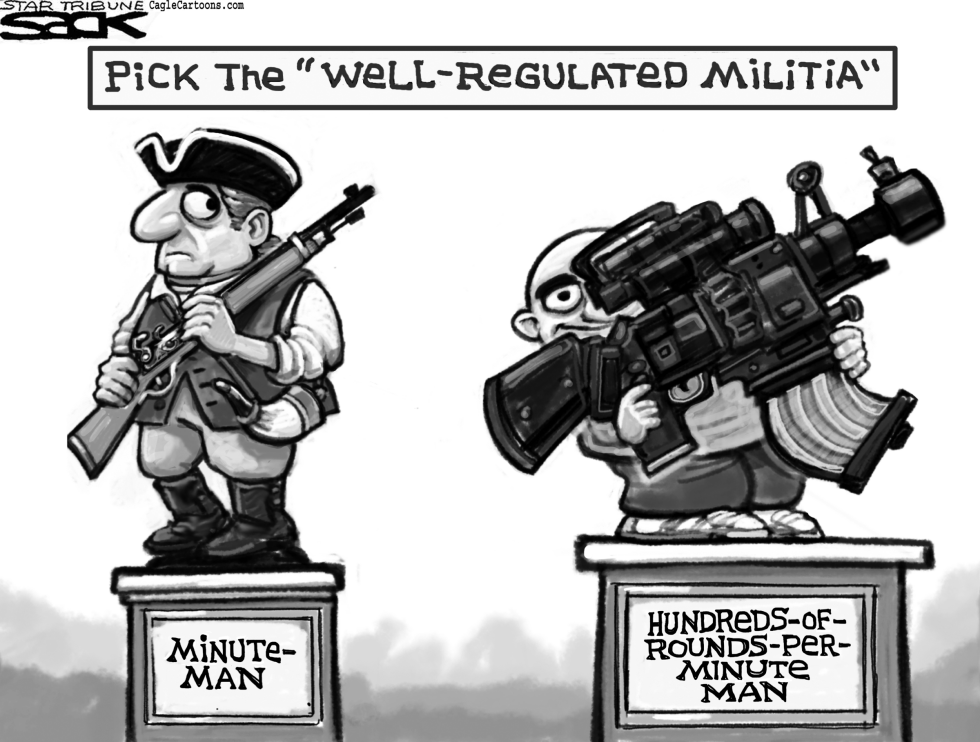 Well Regulated Gun Control