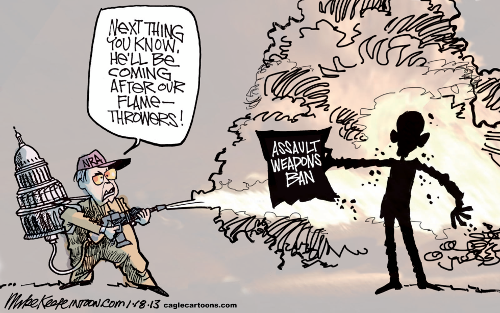 Assault Weapons Ban COLOR