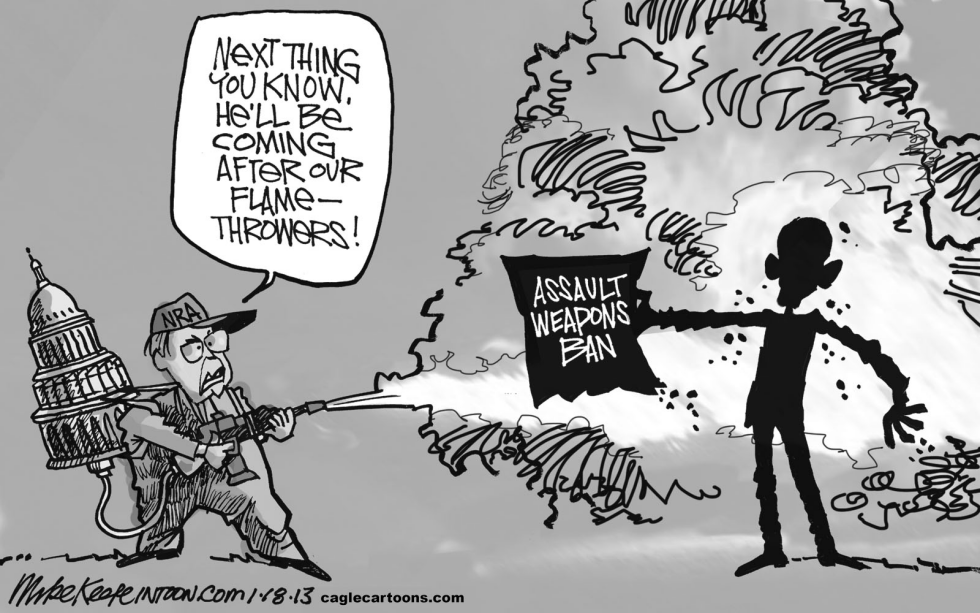 Assault Weapons Ban
