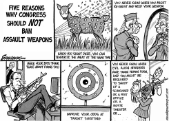 ASSAULT WEAPONS BAN by Steve Greenberg