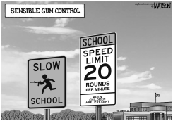 SENSIBLE GUN CONTROL by R.J. Matson