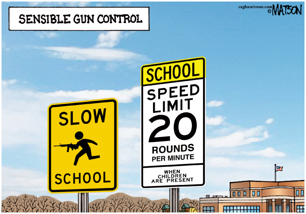 Sensible Gun Control-COLOR