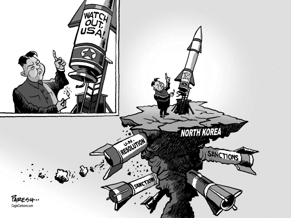 N.Korean rocket