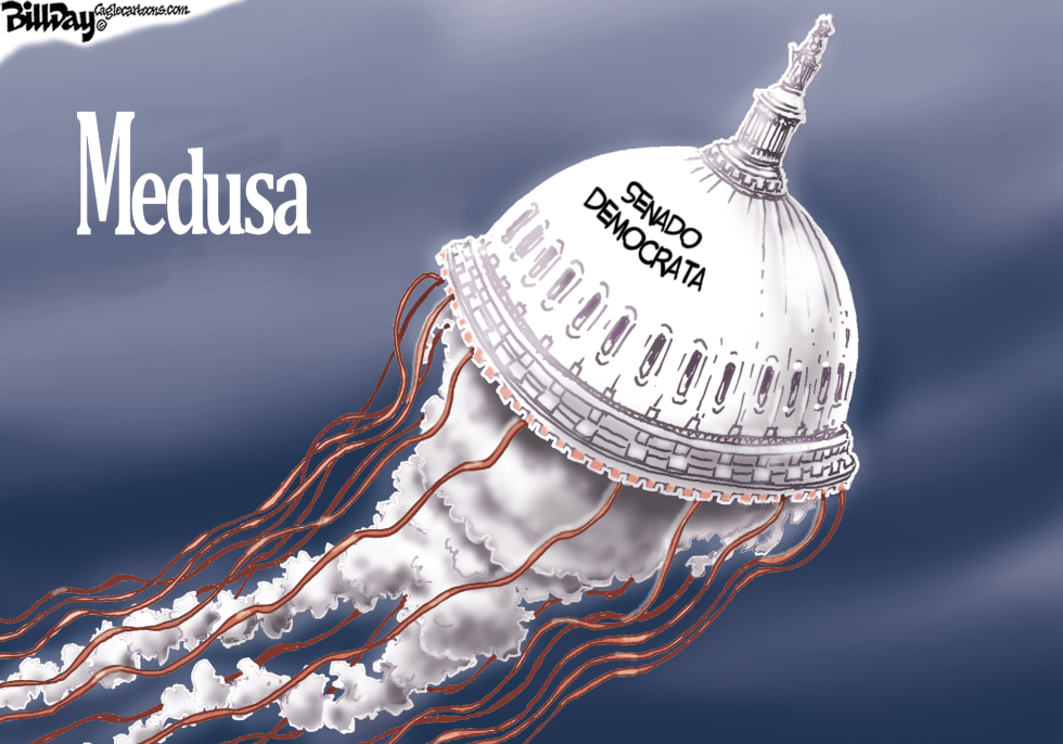  MEDUSA  by Bill Day