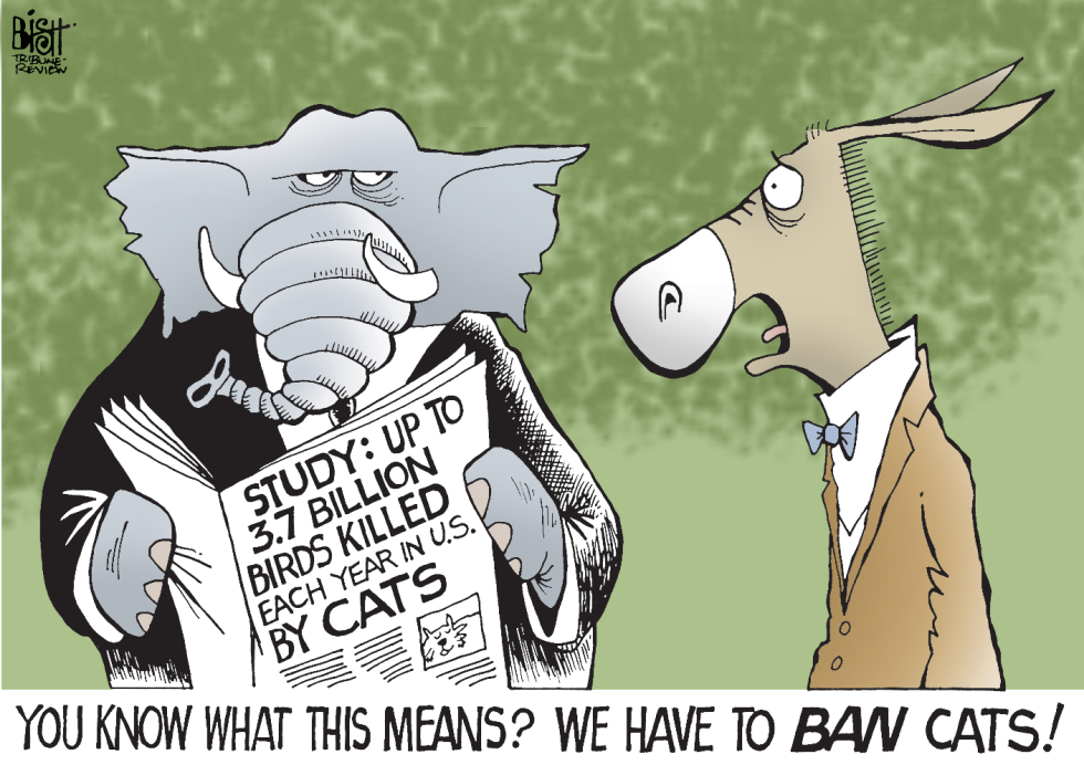 GOVERNMENT BANS, COLOR