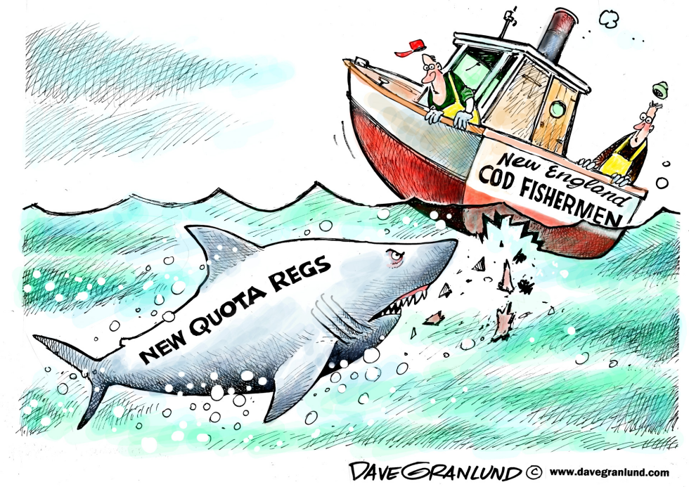  NEW ENGLAND COD QUOTAS by Dave Granlund