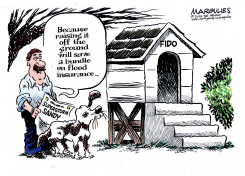 SUPERSTORM SANDY AND FLOOD INSURANCE by Jimmy Margulies