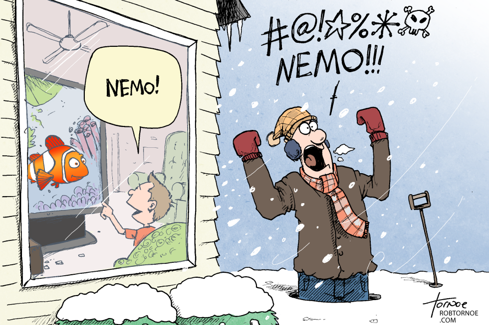 Nemo Snow Storm