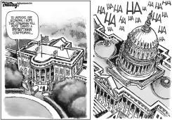 STATE OF THE CONGRESS by Bill Day