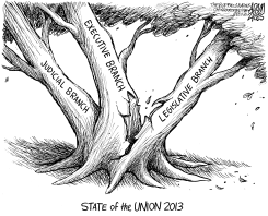 WASHINGTON IS BROKEN by Adam Zyglis