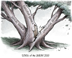 WASHINGTON IS BROKEN  by Adam Zyglis