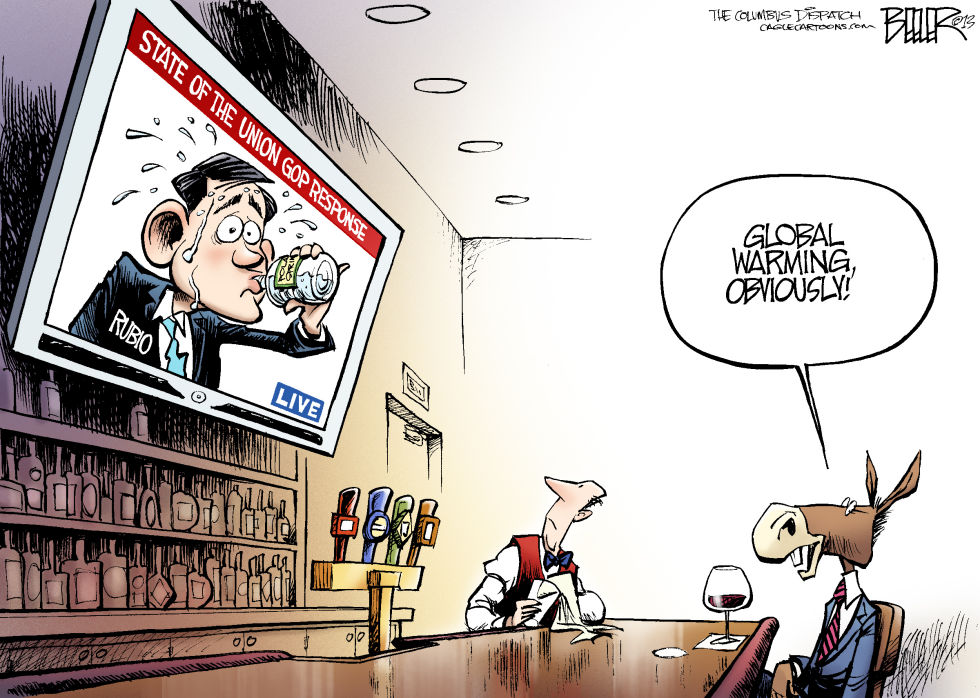Rubio Response COLOR