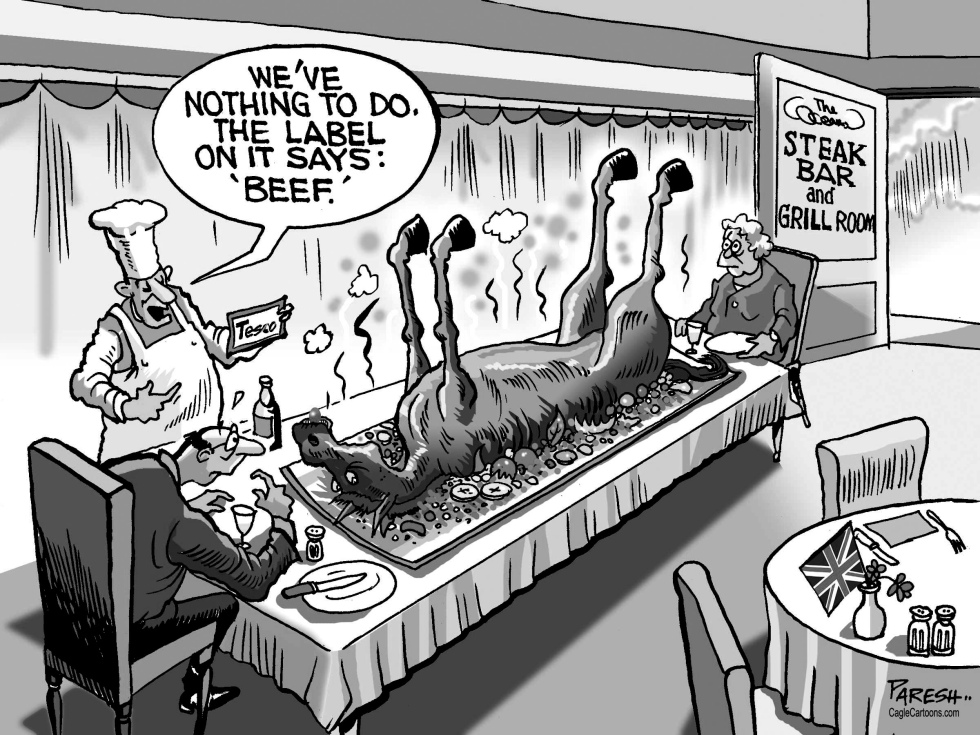 Horse meat scandal