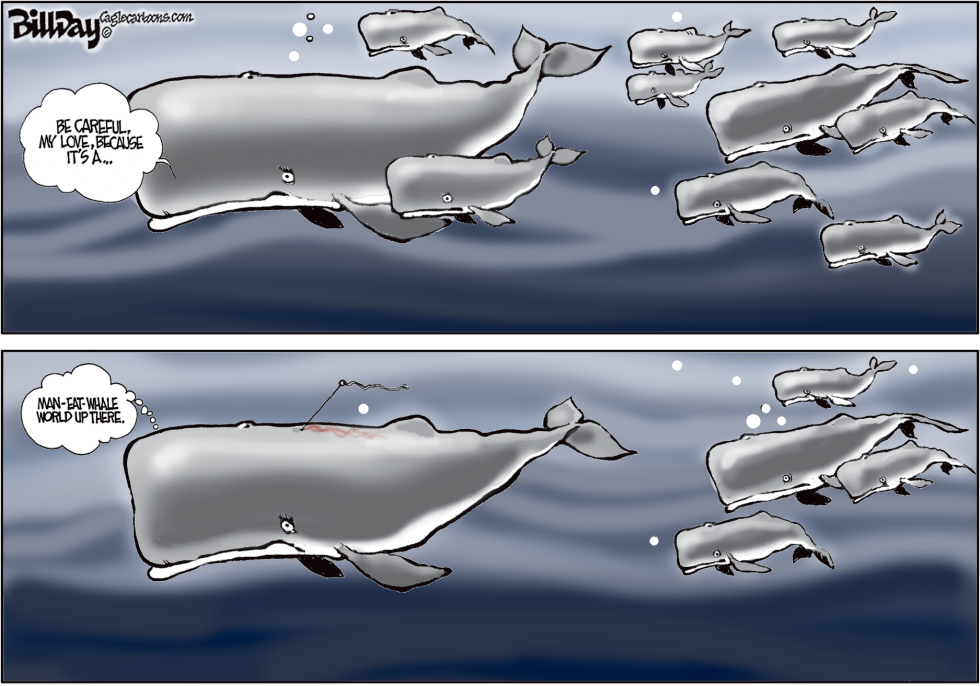 The Whale Cry  COLOR