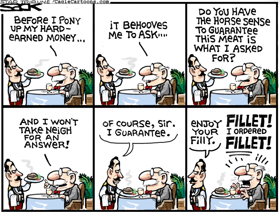 Horse Meal COLOR