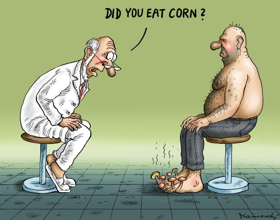 Did You Eat Corn